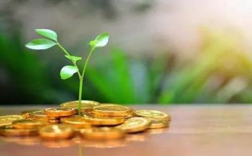 资金使用自查报告最新6篇