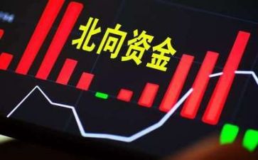 资金自查报告模板8篇