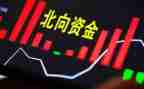 资金自查报告模板8篇