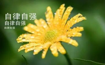 自强不息的演讲稿精选8篇