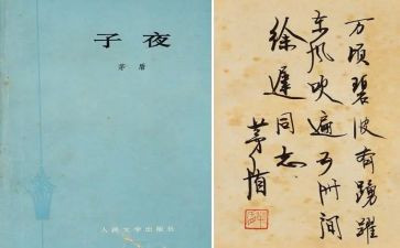 子夜心得体会300精选5篇