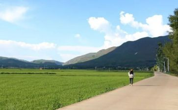 走过作文800字参考6篇