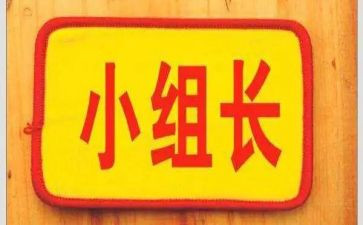 大组长竞选演讲稿推荐8篇