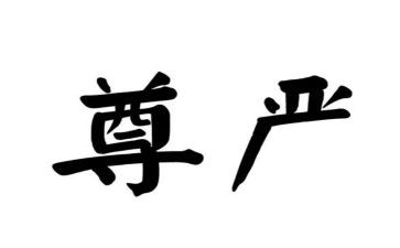 尊严的素材作文5篇