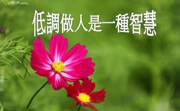做人力资源课设心得体会推荐6篇