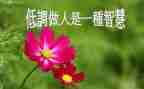 教学生做人的作文7篇