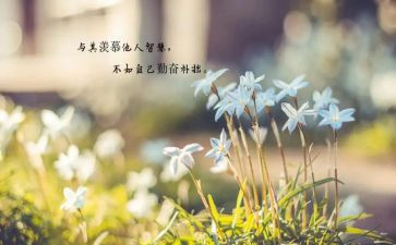 做最好党员心得体会6篇